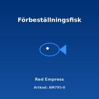 Red Empress 3,5-4 cm