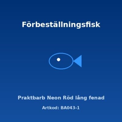 Praktbarb Neon Röd lång fenad 3-3,5 cm