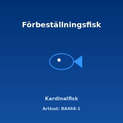 Kardinalfisk 2,5-3 cm