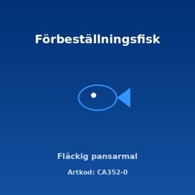 Fläckig pansarmal 2-2,5 cm