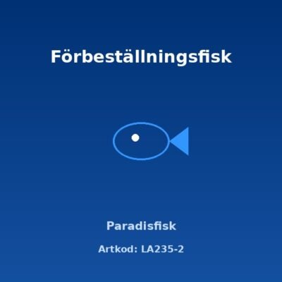 Paradisfisk 5-6 cm