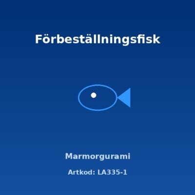 Marmorgurami 4-4,5 cm