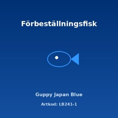 Guppy Japan Blue 3-3,5 cm