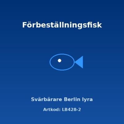 Svärbärare Berlin lyra 5 cm