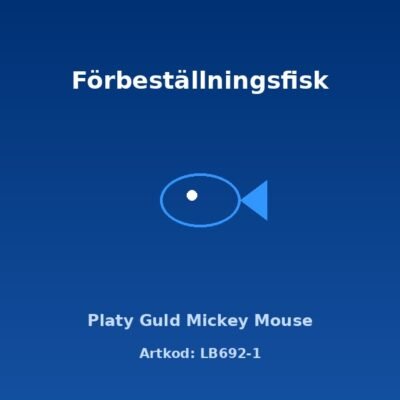 Platy Guld Mickey Mouse 3 cm