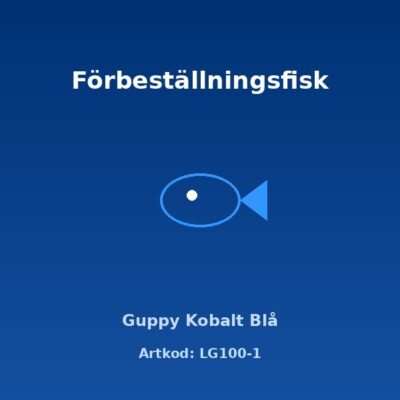 Guppy Kobalt Blå 3-3,5 cm