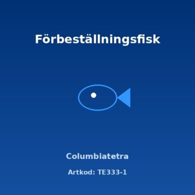 Columbiatetra 3 cm