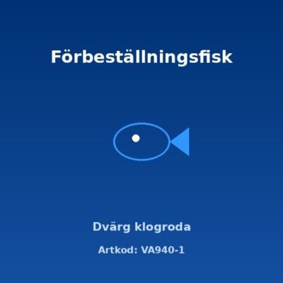 Dvärg klogroda – skötsel, akvarium och förbeställning