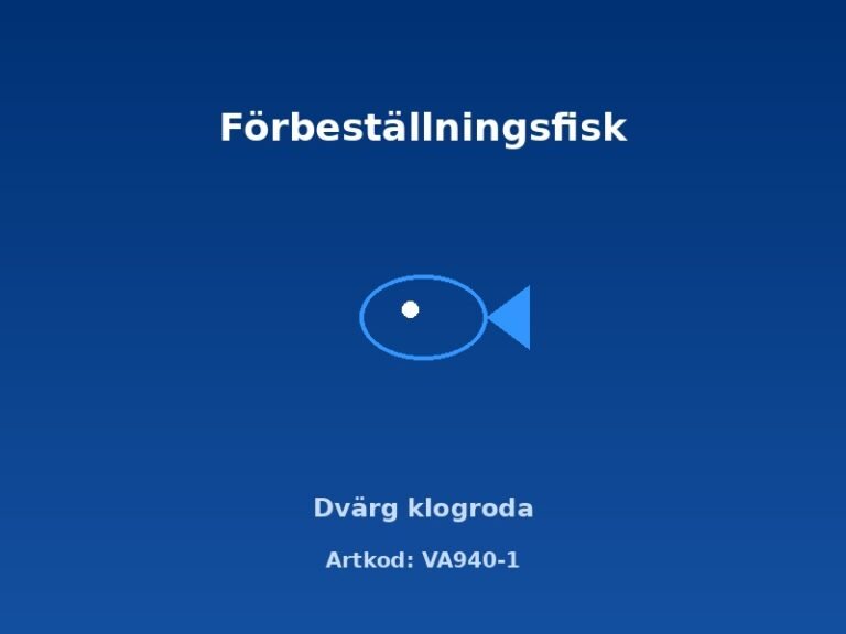 Dvärg klogroda – skötsel, akvarium och förbeställning