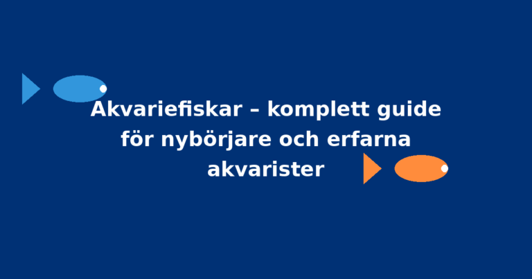Akvariefiskar – komplett guide för nybörjare och erfarna akvarister