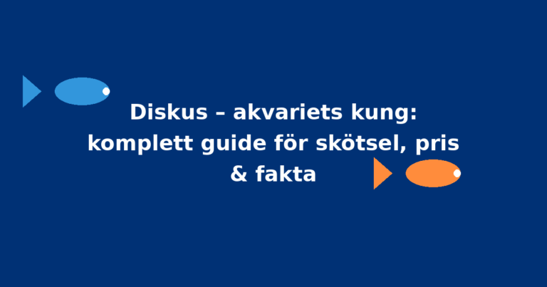Diskus – akvariets kung: komplett guide för skötsel, pris & fakta