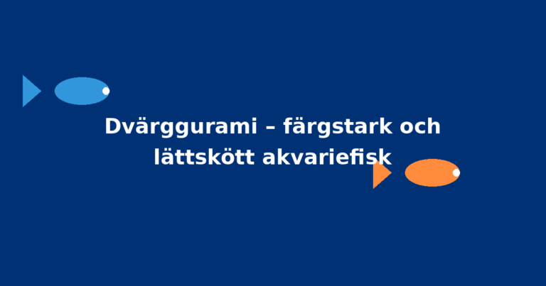 Dvärggurami – färgstark och lättskött akvariefisk
