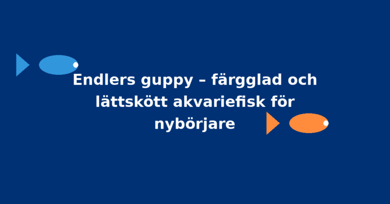 Endlers guppy – färgglad och lättskött akvariefisk för nybörjare