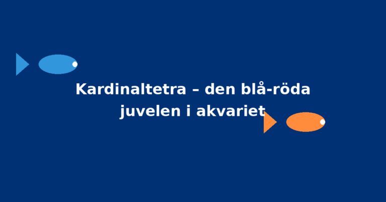 Kardinaltetra – den blå-röda juvelen i akvariet