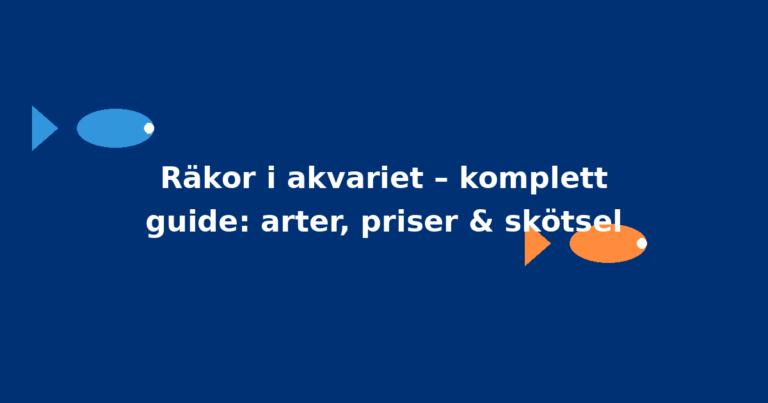 Räkor i akvariet – komplett guide: arter, priser & skötsel