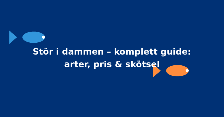 Stör i dammen – komplett guide: arter, pris & skötsel