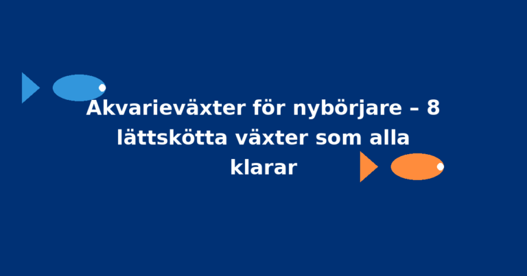Akvarieväxter för nybörjare – 8 lättskötta växter som alla klarar
