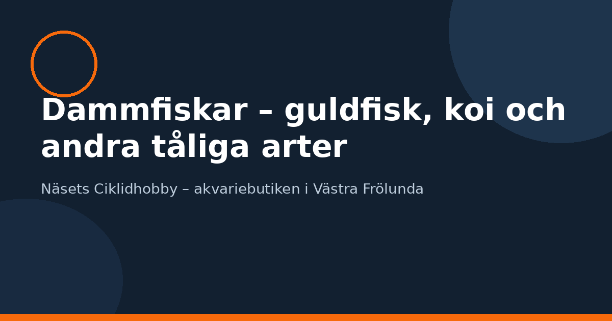 Dammfiskar – guldfisk, koi och andra tåliga arter
