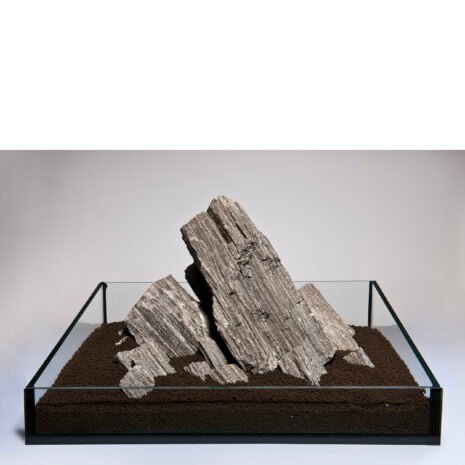 dogman-922312 dogman-922312