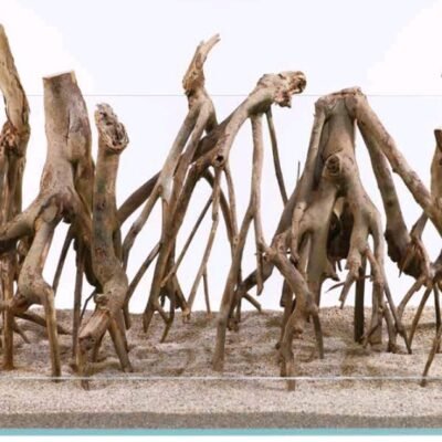 Talawa Wood Akvariedekoration