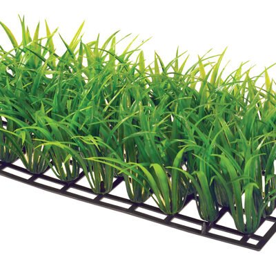 Dekorväxt Plant Mat 3 25cm