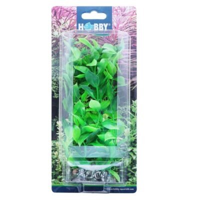 Dekorväxt Hygrophila 20cm