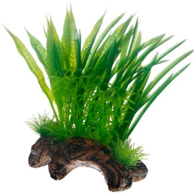 Dekor Flora Root 1 S 17cm