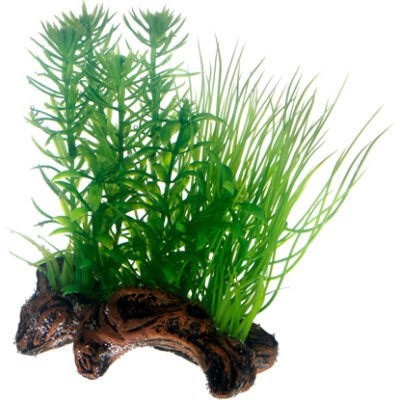 Dekor Flora Root 2 S 17cm