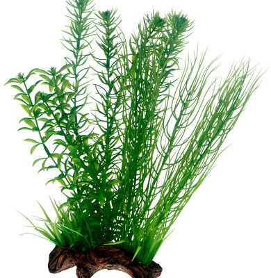 Dekor Flora Root 2 L 30cm