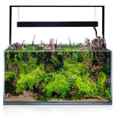 Ultrascape 90 Forest
