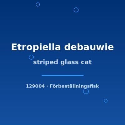 striped glass cat xlg