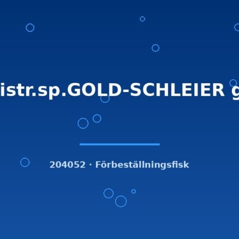 glaser-204052 glaser-204052
