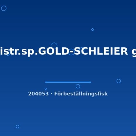 glaser-204053
