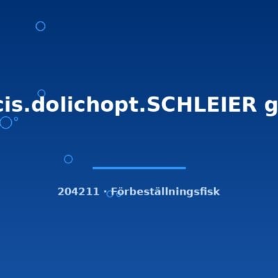 Ancis.dolichopt.SCHLEIER g.br. 3-4cm