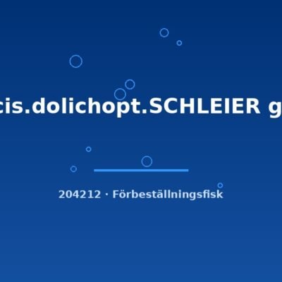 Ancis.dolichopt.SCHLEIER g.br. 4-5cm