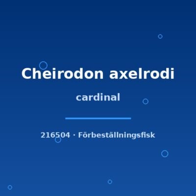 cardinal md-lg