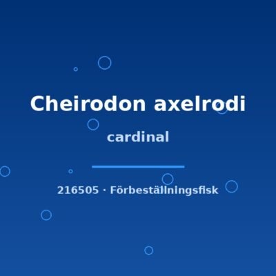 cardinal lg