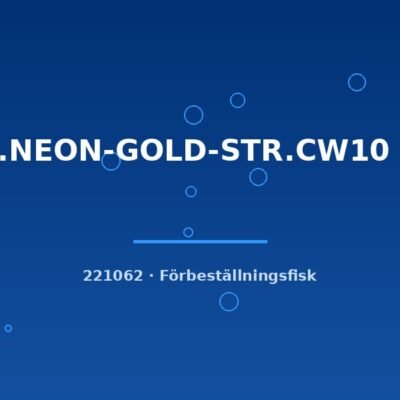 Cory.NEON-GOLD-STR.CW10 g.br. sm-md