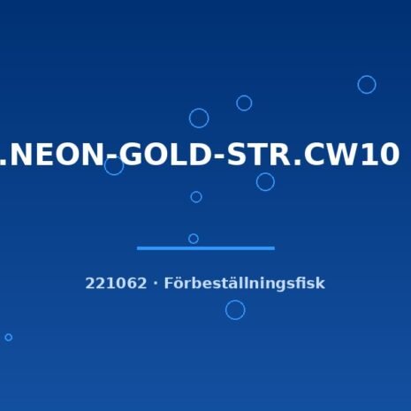 glaser-221062 Cory.NEON-GOLD-STR.CW10 g.br. sm-md