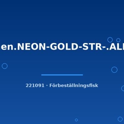 Cor.aen.NEON-GOLD-STR-.ALB.g.b sm