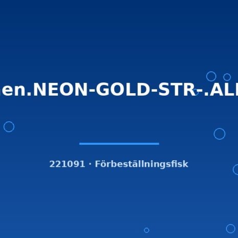 glaser-221091 Cor.aen.NEON-GOLD-STR-.ALB.g.b sm
