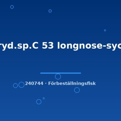 Coryd.sp.C 53 longnose-sychri xlg