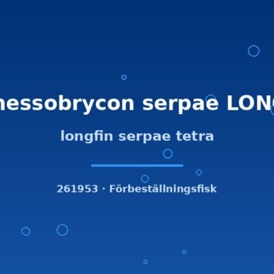 longfin serpae tetra md-lg