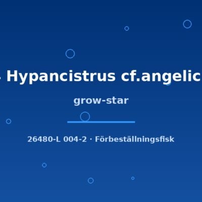 grow-star 5-7cm