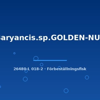 L18 Baryancis.sp.GOLDEN-NUGGET 6-8cm