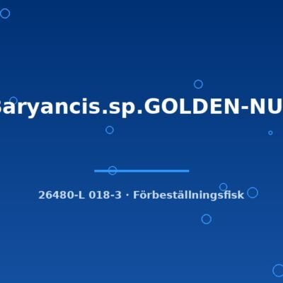 L18 Baryancis.sp.GOLDEN-NUGGET 8-10cm