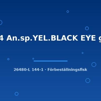 L144 An.sp.YEL.BLACK EYE g.br. 3-4cm