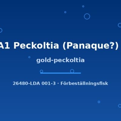 gold-peckoltia 5-7cm