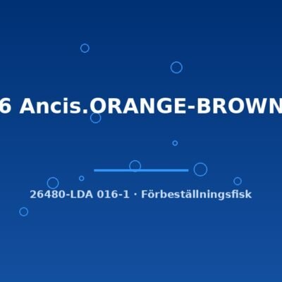 LDA16 Ancis.ORANGE-BROWN g.br. 4-5cm