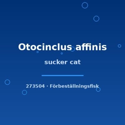 sucker cat md-lg